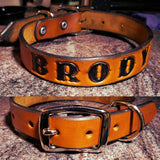 Dog Collar