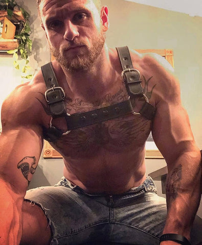 Leather Harness