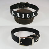 Dog Collar