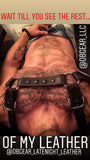 Leather Harness